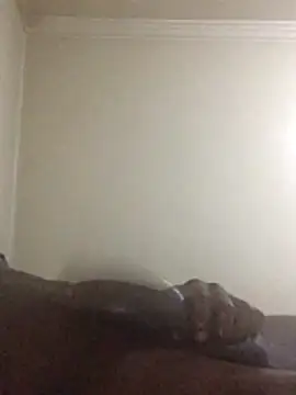 Sahrawi-fhal online show from 27, 10, 2025