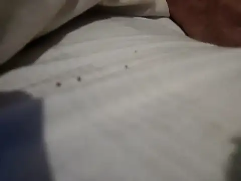 jjLARAY online show from 15, 2, 2026