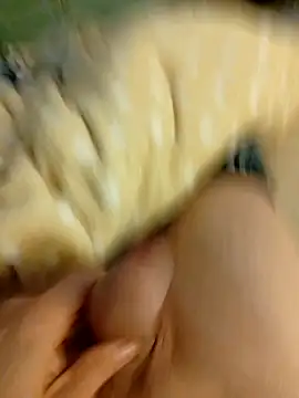 Graimito online show from 3, 3, 2026