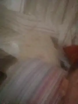 Snapshot of Graimito chatting on 11, 10, 2025 Graimito online show from 11, 10, 2025