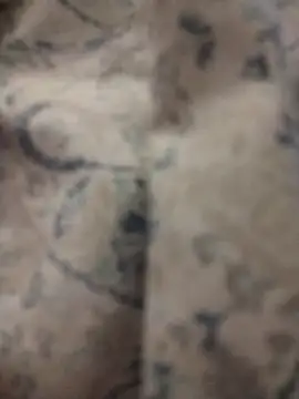 Snapshot of shyguy8569 chatting on 5, 12, 2025 shyguy8569 online show from 5, 12, 2025