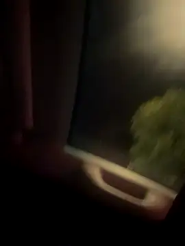 Butterfly8385 online show from 14, 11, 2025