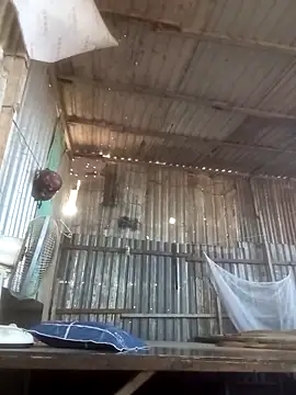 Dothanhthuan555 online show from 25, 3, 2026