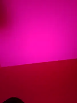 xcodigorojo online show from 14, 11, 2025