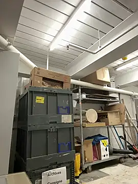 AlexGogo23 online show from 12, 2, 2026