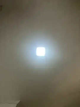 safadinhaquenteW online show from 11, 1, 2026