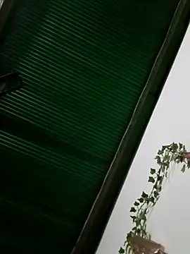 Jessica-03 online show from 18, 11, 2025