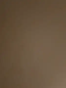 Playboyx143xh online show from 12, 10, 2025