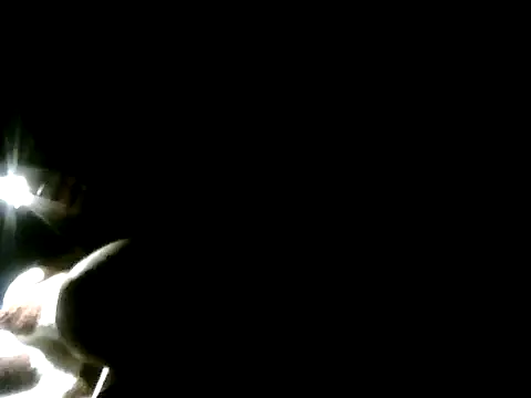 YoussefAl-Fahl online show from 26, 11, 2025