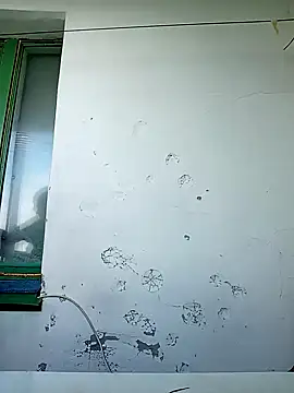 HollyDollsi online show from 14, 10, 2025