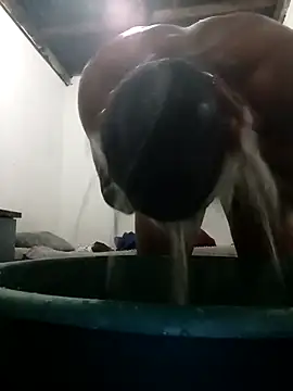 MyGuy352 online show from 4, 12, 2025