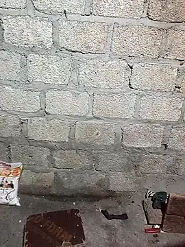 siusiu-00 online show from 13, 11, 2025