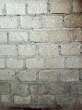 siusiu-00 online show from 11, 3, 2026