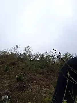 siusiu-00 online show from 9, 1, 2026