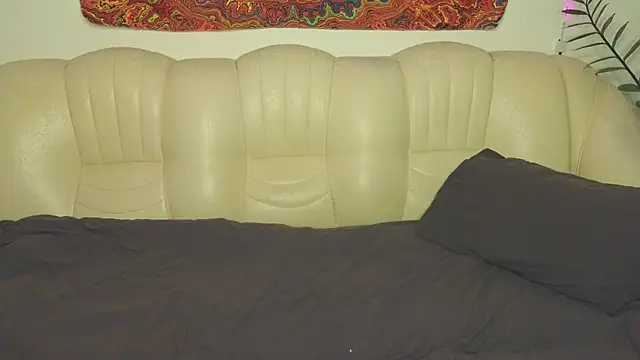 ViolaHight online show from 9, 11, 2025