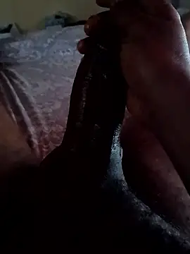 WoodenD65 online show from 21, 4, 2026