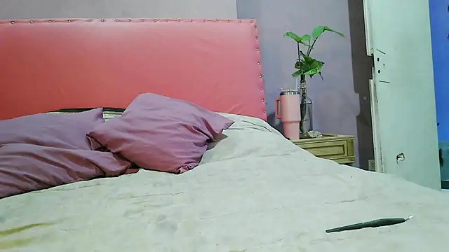 cojeelcamino online show from 17, 11, 2025