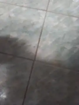 rgsnakan online show from 15, 1, 2026