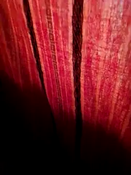 svk 05 online show from 12, 11, 2025