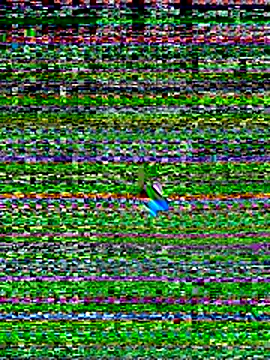 Your hope77 online show from 3, 11, 2025