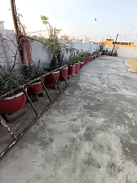 imyoungboymay online show from 25, 3, 2026