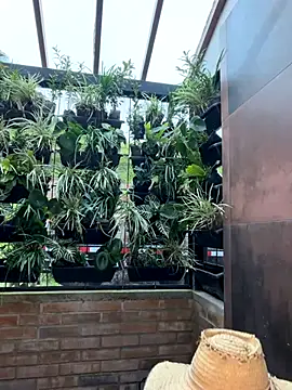 Rashel Frost  online show from 23, 11, 2025