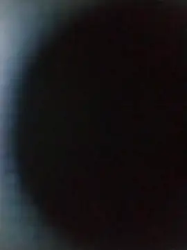 Wolfsexass online show from 16, 10, 2025