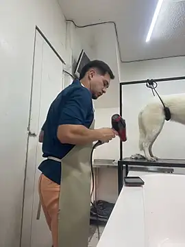 Leonardmoppet online show from 17, 11, 2025