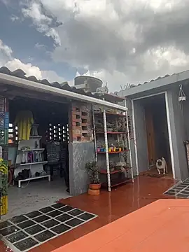 Leonardmoppet online show from 23, 10, 2025