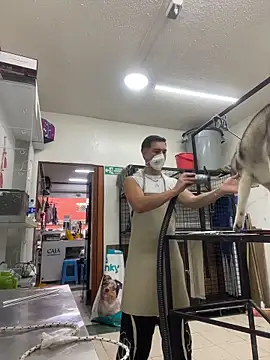 Leonardmoppet online show from 4, 11, 2025