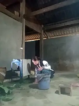 Myzak- online show from 5, 12, 2025