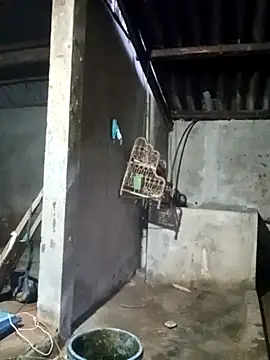 Myzak- online show from 22, 3, 2026