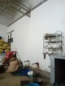 Myzak- online show from 26, 11, 2025