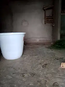 Myzak- online show from 7, 3, 2026