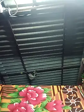 Rajni chauhan online show from 7, 11, 2025