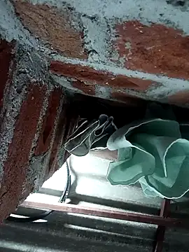 Rajni chauhan online show from 4, 11, 2025