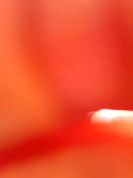 Rajni chauhan online show from 21, 10, 2025