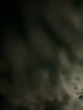 menina coimbrinha online show from 15, 10, 2025