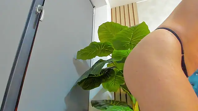 AsshleySing online show from 12, 1, 2026