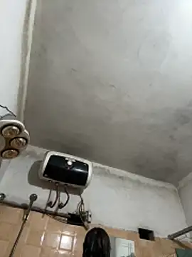 Snapshot of panda-bae chatting on 2, 12, 2025 panda-bae online show from 2, 12, 2025