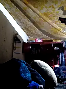 Cogelonregio online show from 25, 10, 2025