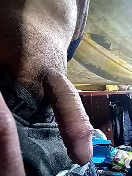 Cogelonregio online show from 4, 12, 2025