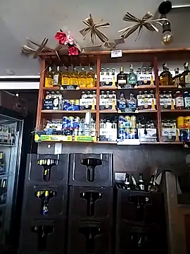 catalella16 online show from 5, 2, 2026