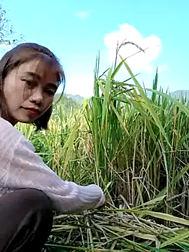 omai-ngot online show from 23, 10, 2025