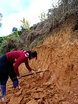 omai-ngot online show from 6, 11, 2025