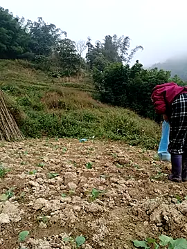 omai-ngot online show from 4, 12, 2025