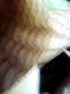 Snapshot of Soumyajit129ommk chatting on 11, 11, 2025 Soumyajit129ommk online show from 11, 11, 2025