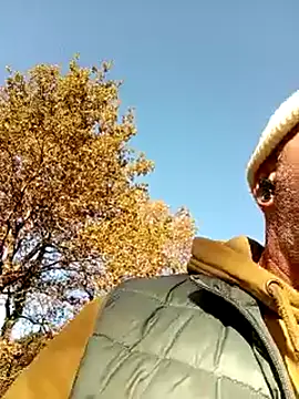 Ptitcouic online show from 8, 11, 2025