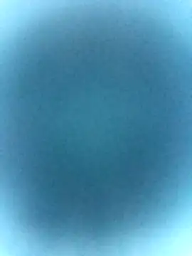 tabby-cat11 online show from 19, 2, 2026