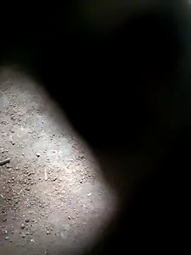 M-MAYA online show from 1, 11, 2025